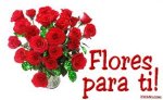 flor10.jpg