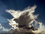 Plumas del horizonte.jpg