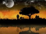 Amor de Pareja-851041.jpg