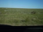 PA080314.jpg