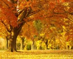 fotos+paisajes+de+oto%u002525C3%25B1o-d12.jpg