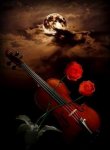 VIOLINES Y NOCHE.jpg