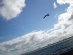 PC180081.jpg