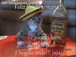 feliz2407.jpg
