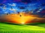 $13abr16 - El sol por la ventana - 13abr16.jpg