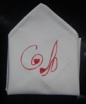 PAÑUELO.JPG