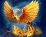 fenix1 (1).jpg