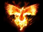 fenix1 (2).jpg