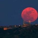 LUNAROJA.jpg