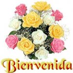imagenes_de_bien-benidos-3455.jpg