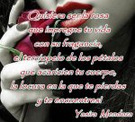 10408889_1548608188695674_6633455688888791010_n (1).jpg