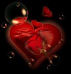 0001amor-corazon.jpg