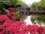 Jardines de Suzhou.jpg