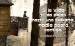 si la vida te da palos..jpg