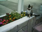 IMAG0016.jpg
