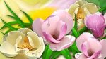 flormagnoliaimages.jpg