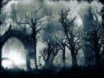 camino de sombras.jpg