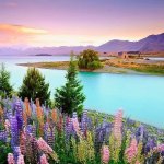 $ 28sep15 - Un sol precioso - 28sep15.jpg