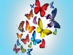 mariposas 2.jpg