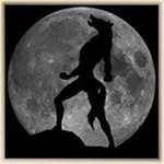 ASOMBRO EN  LA NOCHE.jpg