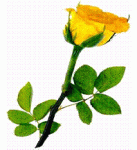 Imagen.21.GIF