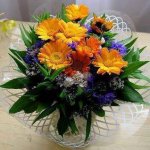 $ 15oct15 - Hazlo por ella - 15oct15.jpg