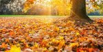 otoÃ±o.jpg