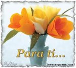 flor3.jpg