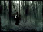 20080510212845-bosque.jpg