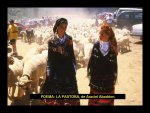 LA PASTORA.jpg