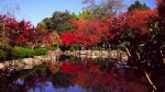 jardin-japones.jpg