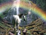 EL UNICORNIO.jpg