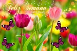 FELIZ-semana_030-1.jpg