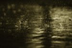 OTOÃ‘Olluvia.jpg