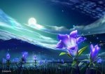 flowers-abstract-blue-clouds-colors-flower-flowers-full-moon-garden-kagaya-lights-moon-moonlight.jpg