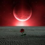 LUNA 1.jpg
