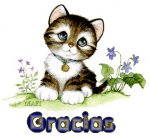 GRACIAS268626_176822149050329_3281443_n.jpg
