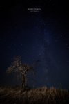 En_la_soledad_de_la_noche.jpg