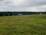 Nyuksenitsa (2).jpg