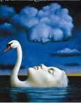 Pintura surrealista cara de cisne.jpg