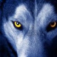 Lobo